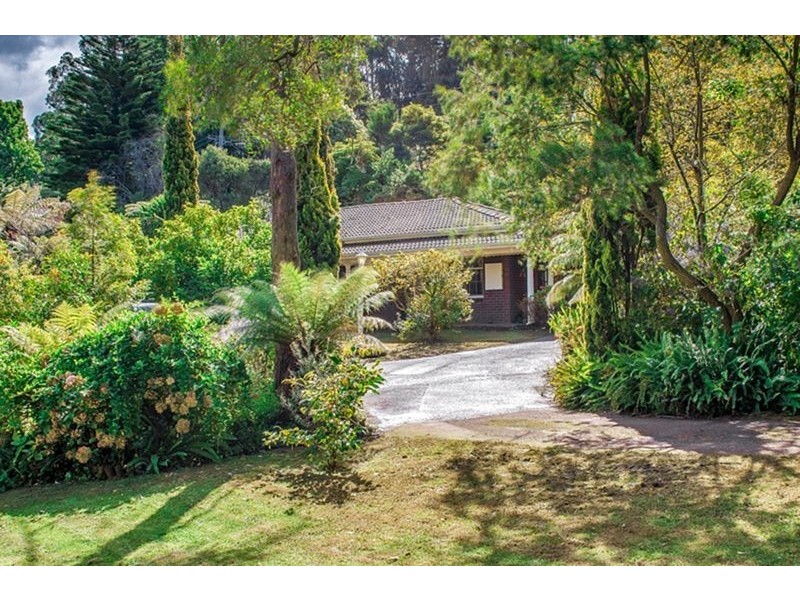 38 Blackwood Street, Tecoma VIC 3160