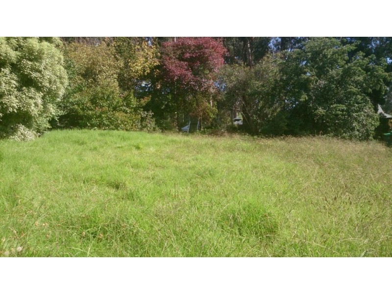 3 Halcyon Avenue, The Patch VIC 3792