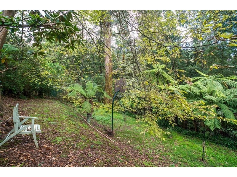 125 Monbulk Road, Kallista VIC 3791