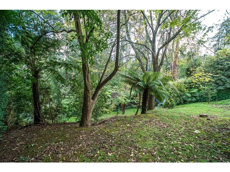 125 Monbulk Road, Kallista VIC 3791