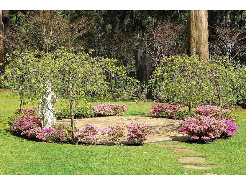 31 Sherbrooke Lodge Road, Sherbrooke VIC 3789