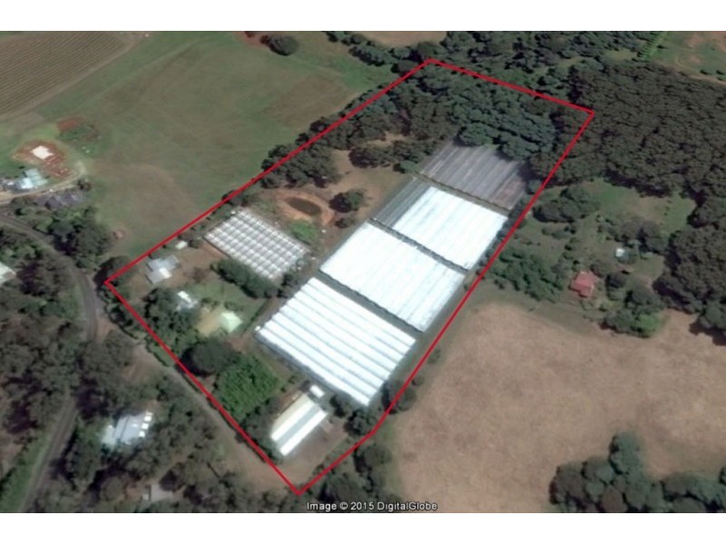 17 Frond Drive, The Patch VIC 3792