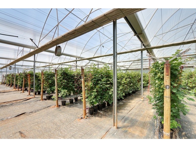 17 Frond Drive, The Patch VIC 3792