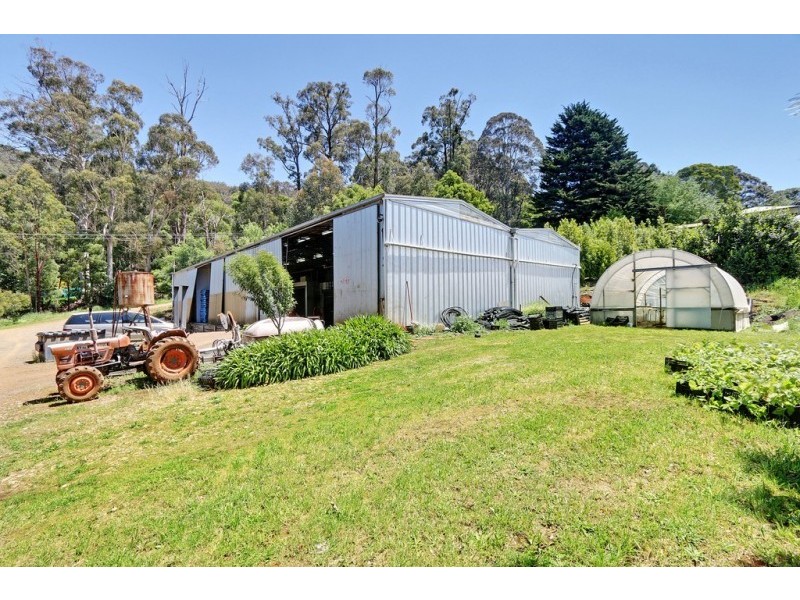 17 Frond Drive, The Patch VIC 3792