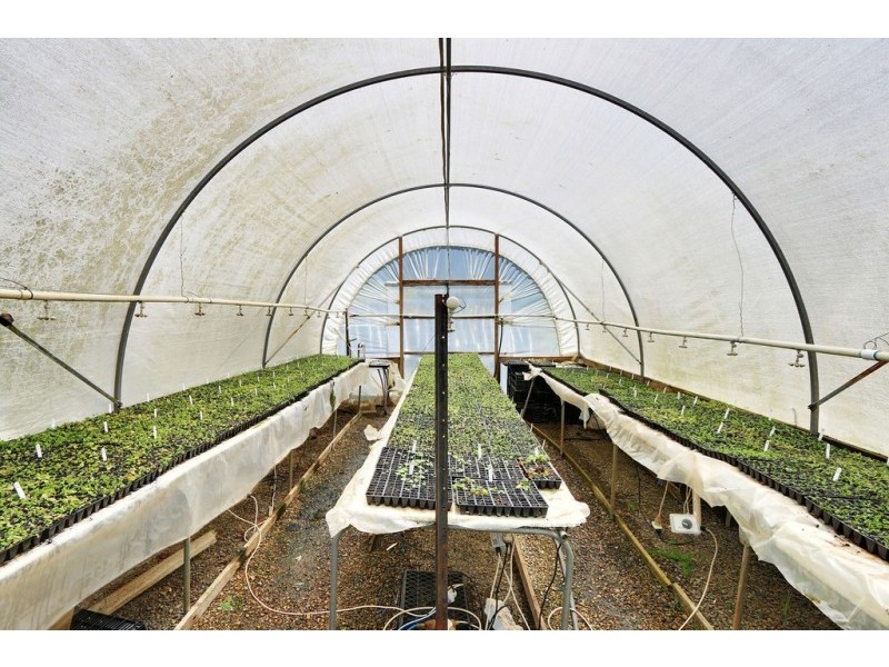 17 Frond Drive, The Patch VIC 3792