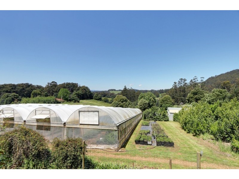 17 Frond Drive, The Patch VIC 3792