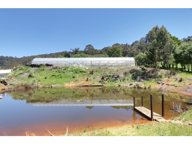 17 Frond Drive, The Patch VIC 3792