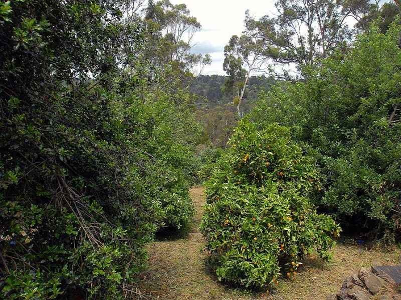 44 Martin Street, Belgrave VIC 3160