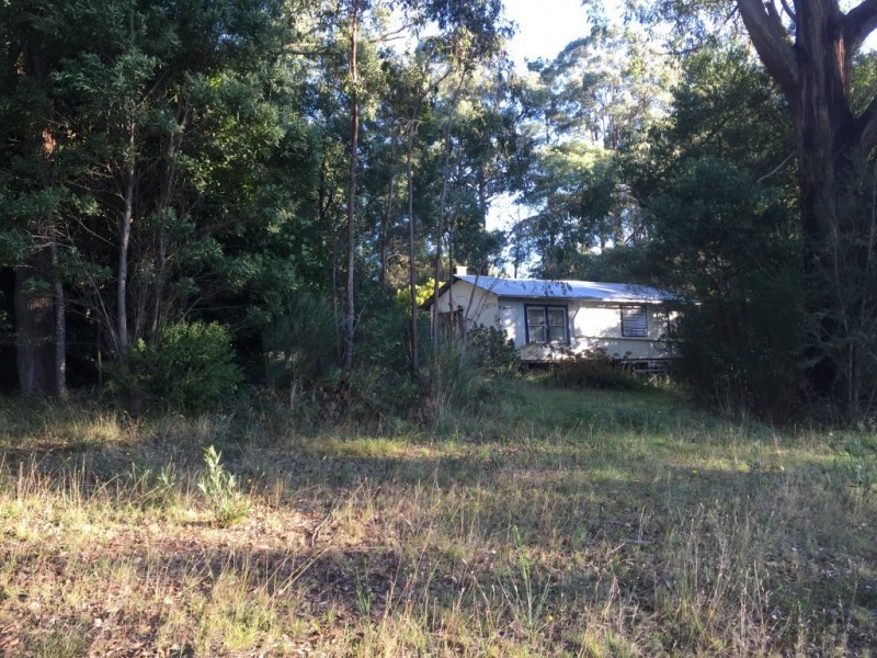 135 Collie Road, Gembrook VIC 3783