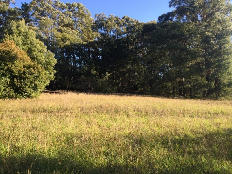 135 Collie Road, Gembrook VIC 3783