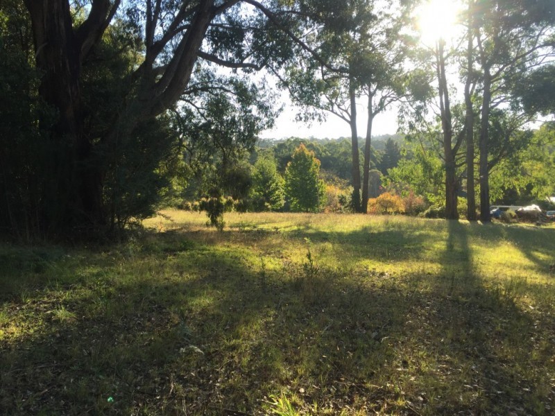 135 Collie Road, Gembrook VIC 3783