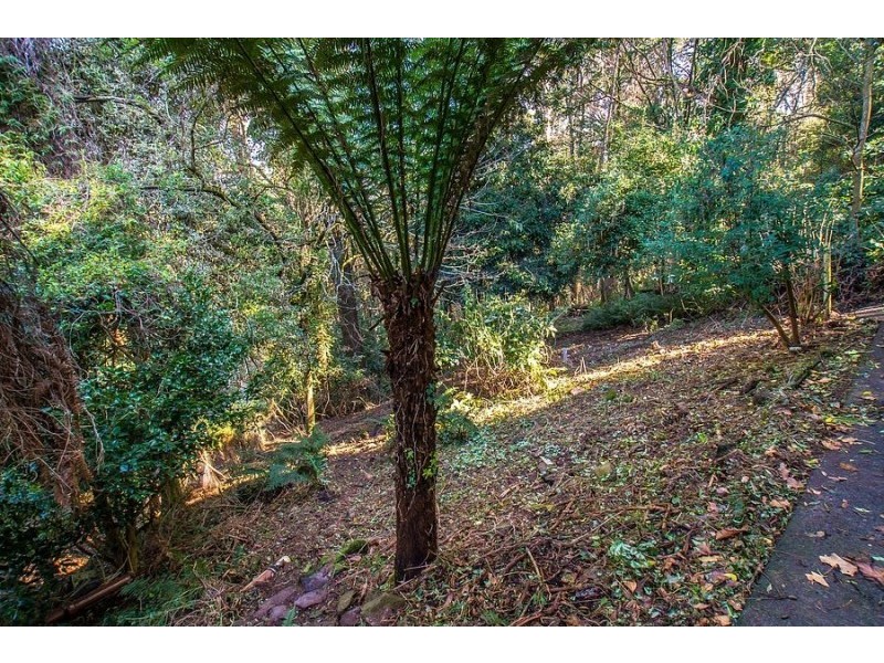 42 Belgrave-Ferny Creek Road, Ferny Creek VIC 3786