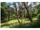 10 Maple Avenue, Belgrave VIC 3160