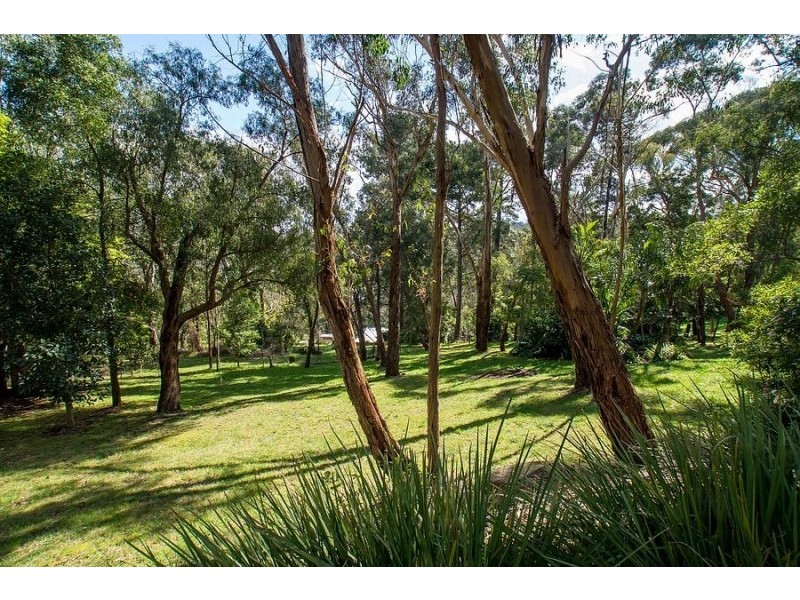 10 Maple Avenue, Belgrave VIC 3160