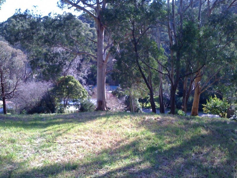 35 Arbor Avenue, Belgrave VIC 3160