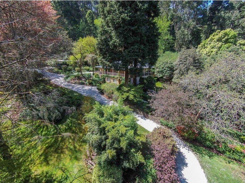 63 The Crescent, Sassafras VIC 3787