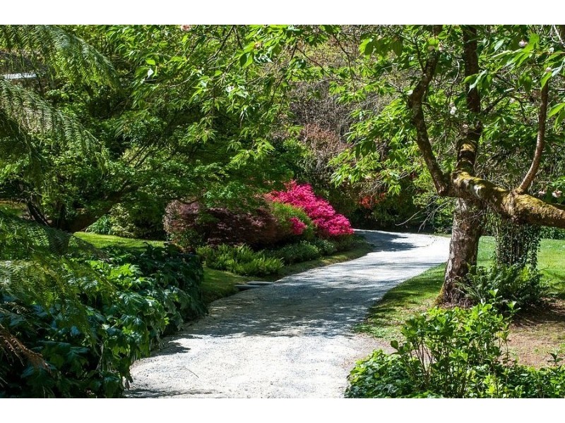 63 The Crescent, Sassafras VIC 3787