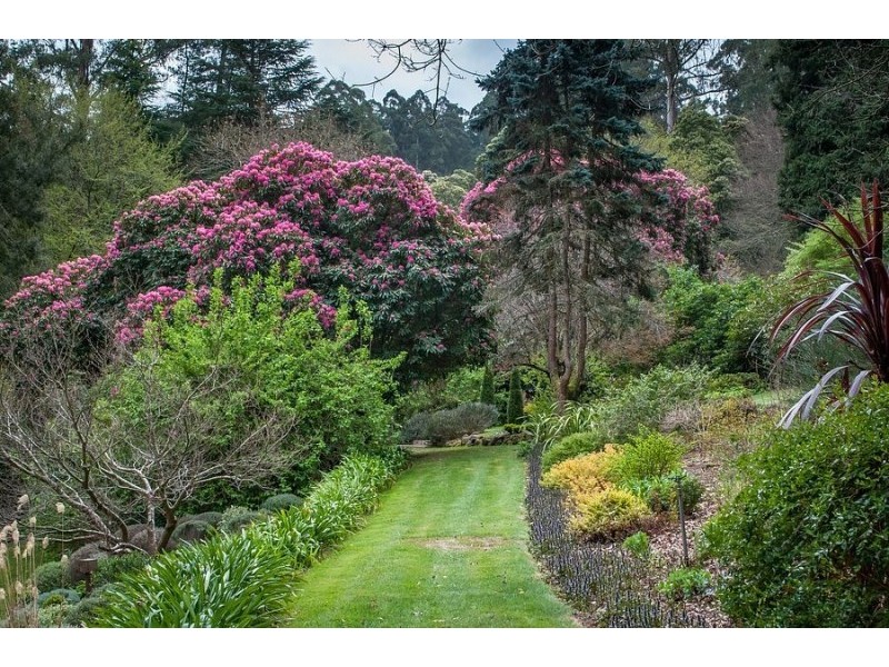 63 The Crescent, Sassafras VIC 3787