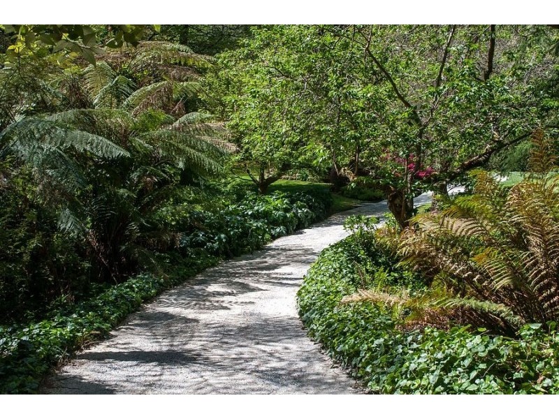 63 The Crescent, Sassafras VIC 3787