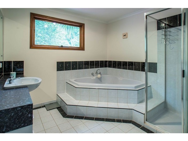254 Belgrave-Gembrook Road, Menzies Creek VIC 3159