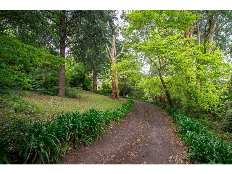 254 Belgrave-Gembrook Road, Menzies Creek VIC 3159