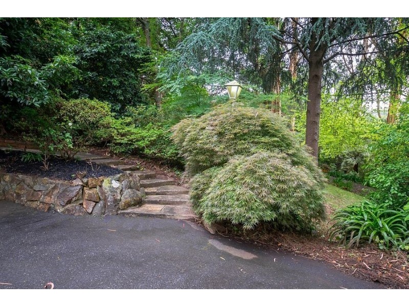 254 Belgrave-Gembrook Road, Menzies Creek VIC 3159