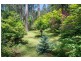 1 Vista Grove, Sherbrooke VIC 3789