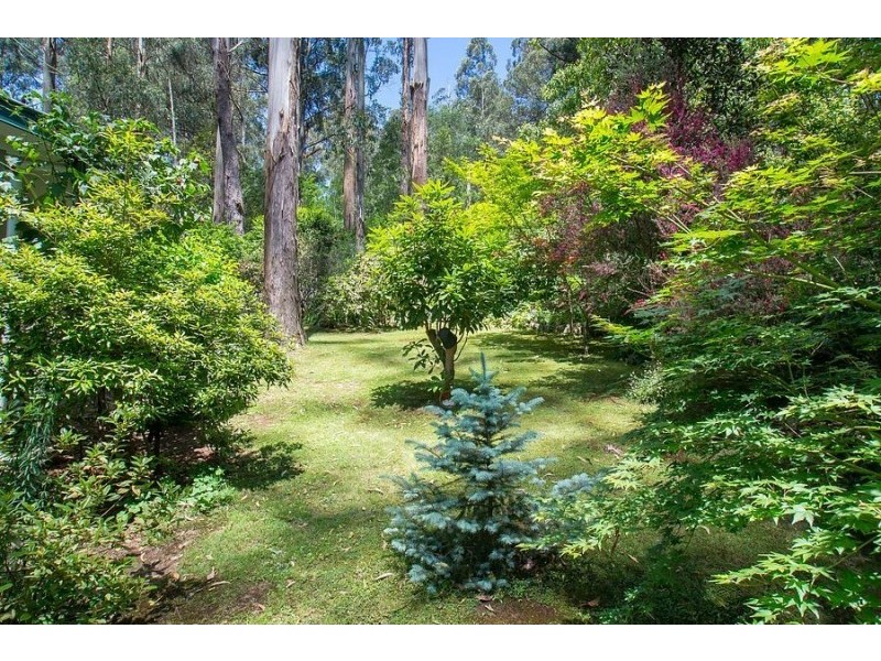 1 Vista Grove, Sherbrooke VIC 3789