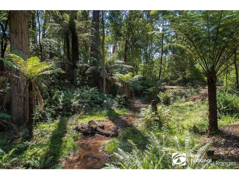 41 Fernglade Drive, Emerald VIC 3782