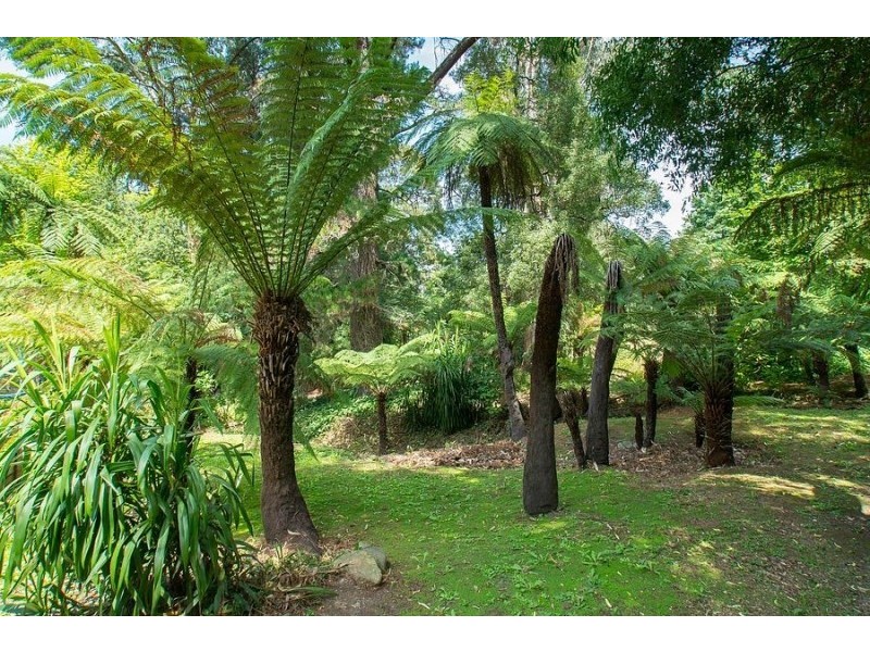 23 Gordon Avenue, Tecoma VIC 3160