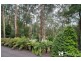 14 Bay Street, Tecoma VIC 3160