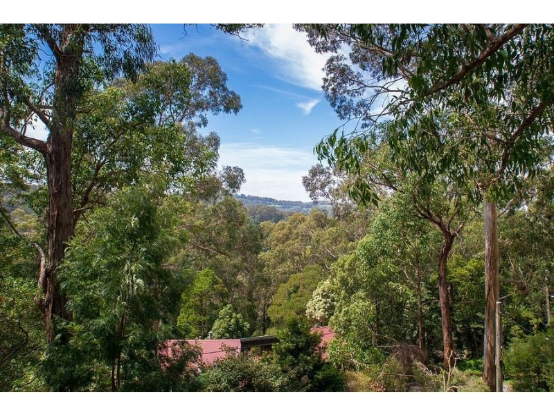 11 Bennett Avenue, Belgrave VIC 3160