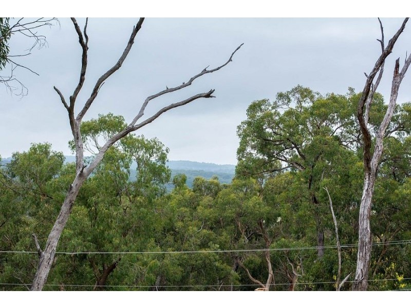 55 Temple Road, Selby VIC 3159