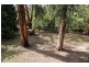23 Arbor Avenue, Belgrave VIC 3160