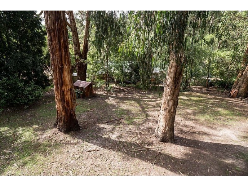 23 Arbor Avenue, Belgrave VIC 3160