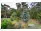 54 Martin Street, Belgrave VIC 3160