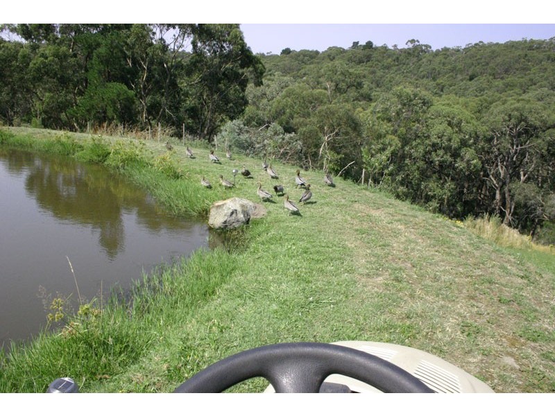 126 Belgrave-Hallam Road, Belgrave South VIC 3160