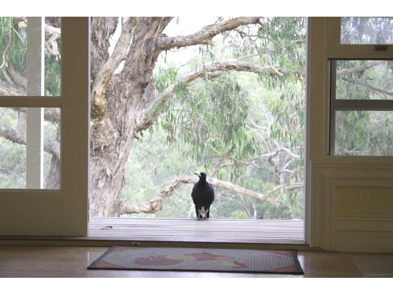 126 Belgrave-Hallam Road, Belgrave South VIC 3160