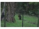 126 Belgrave-Hallam Road, Belgrave South VIC 3160