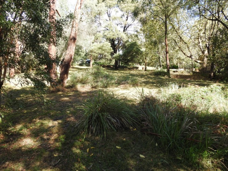 45 Waratah Avenue, Belgrave VIC 3160