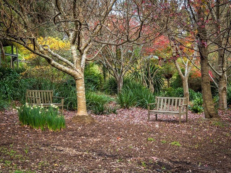 10-12 Clematis Park Road, Clematis VIC 3782