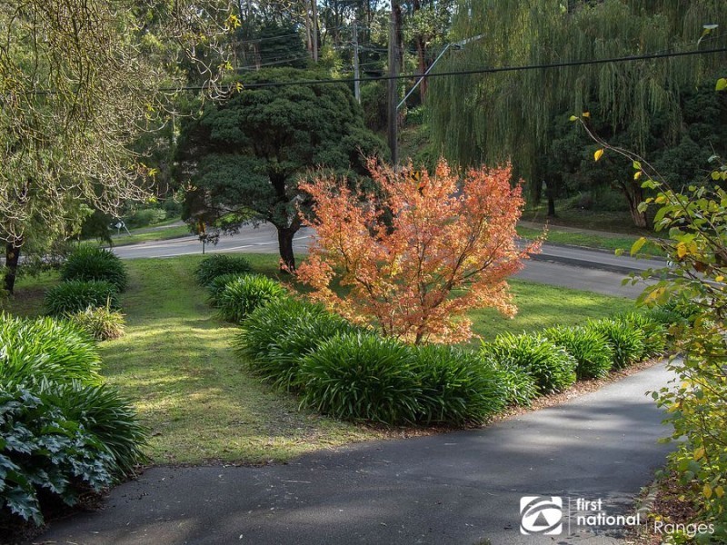 56 McNicol Road, Belgrave VIC 3160