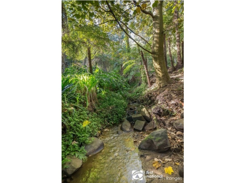 11 Blackwood Street, Tecoma VIC 3160