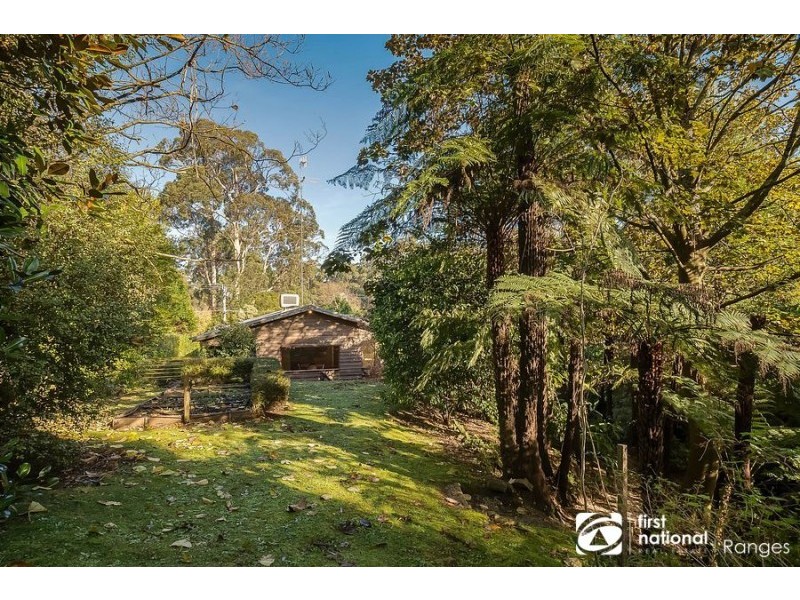 11 Blackwood Street, Tecoma VIC 3160