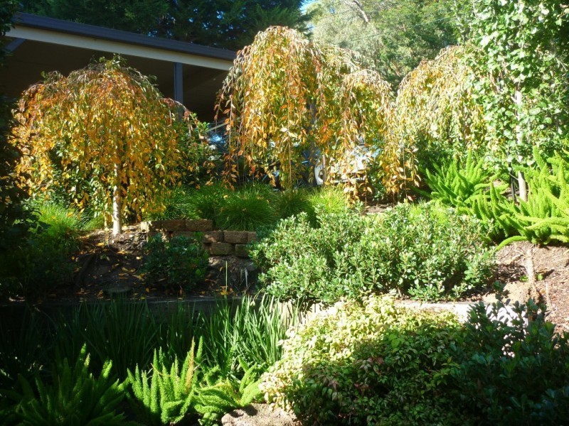 3 Ferndell Court, Belgrave Heights VIC 3160