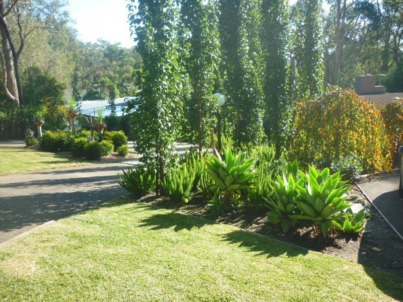 3 Ferndell Court, Belgrave Heights VIC 3160