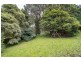 8 Belgrave-Gembrook Road, Belgrave VIC 3160