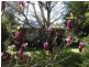 101 Old Princes Highway, Beaconsfield VIC 3807