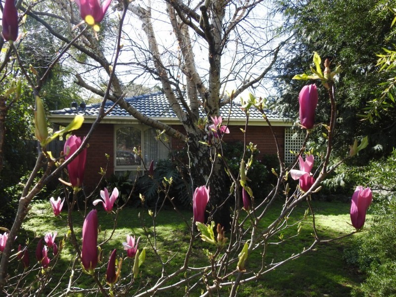 101 Old Princes Highway, Beaconsfield VIC 3807