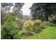 40 Station Street, Belgrave VIC 3160